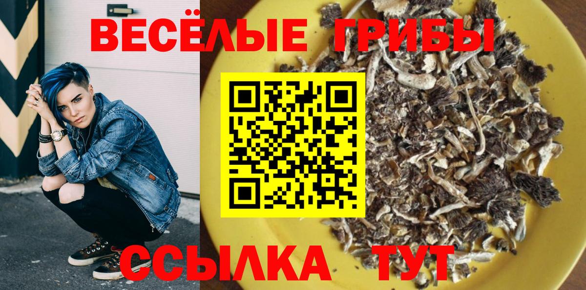 Галлюциногенные грибы MAGIC MUSHROOMS  Вход с VPN  цены наркотик  Псилоцибиновые грибы ЛСД  Хасавюрт 